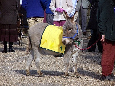 Palm Sunday 2006